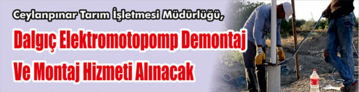 &nbsp;&nbsp;&nbsp;&nbsp;&nbsp; Ceylanpınar Tarım İşletmesi Müdürlüğü, Dalgıç elektromotopomp demontaj ve montaj