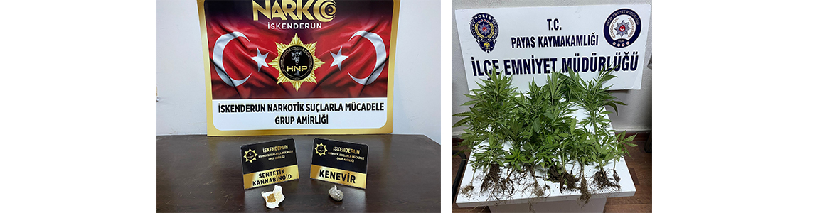 65 Kök Hint Keneviri Ele Geçti Hatay Emniyeti Narkotik Polisi,