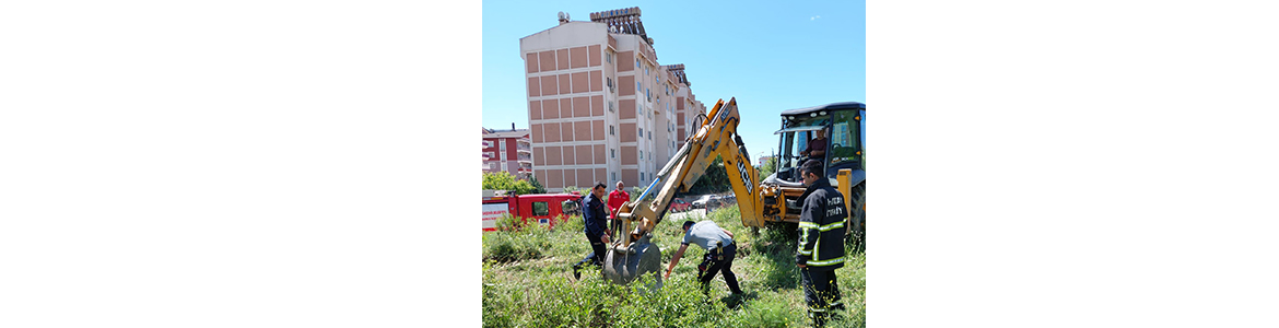 İnek Düştü, Telef Oldu… Antakya’da, Aksaray Mahallesi’nde kapağı açık olan