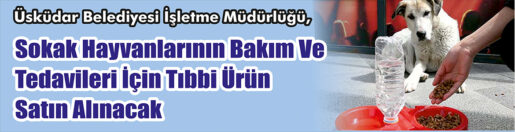 &nbsp;&nbsp;&nbsp;&nbsp;&nbsp; Üsküdar Belediyesi İşletme Müdürlüğü, Sokak hayvanlarının bakım ve tedavileri