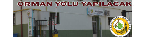 &nbsp;&nbsp;&nbsp;&nbsp;&nbsp; Aladağ Orman İşletme Müdürlüğü, Orman yolu yapacak. &nbsp;&nbsp;&nbsp;&nbsp;&nbsp; Edinilen