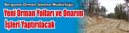 &nbsp;&nbsp;&nbsp;&nbsp;&nbsp; Bergama Orman İşletme Müdürlüğü, Yeni orman yolları ve onarım