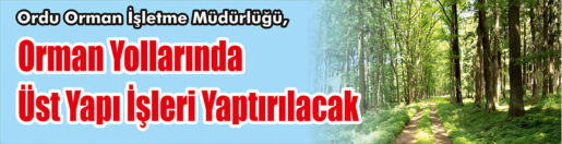 &nbsp;&nbsp;&nbsp;&nbsp;&nbsp; Ordu Orman İşletme Müdürlüğü, Orman yollarında üst yapı işleri