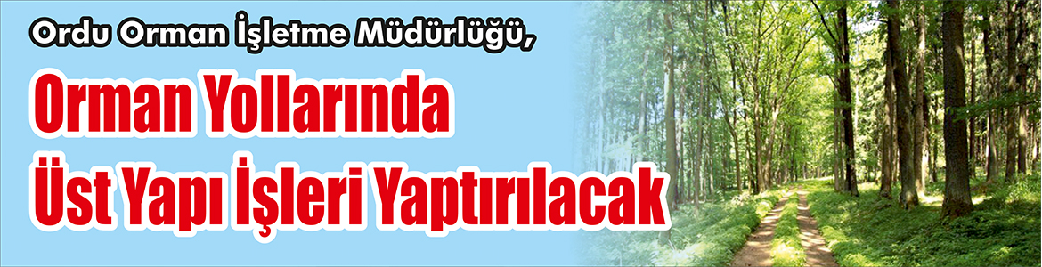&nbsp;&nbsp;&nbsp;&nbsp;&nbsp; Ordu Orman İşletme Müdürlüğü, Orman yollarında üst yapı işleri