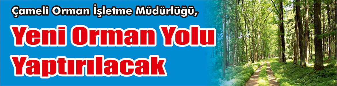 &nbsp;&nbsp;&nbsp;&nbsp;&nbsp; Çameli Orman İşletme Müdürlüğü, Yeni orman yolu yaptıracak. &nbsp;&nbsp;&nbsp;&nbsp;&nbsp;