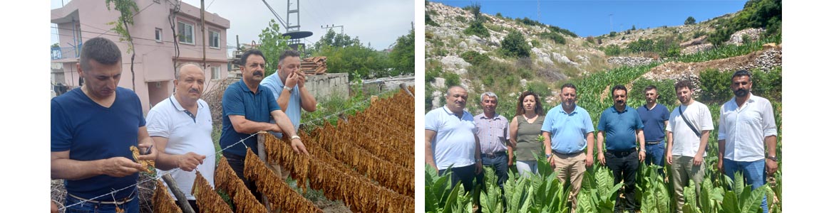 Devletimizden Destek İstiyoruz Yayladağı