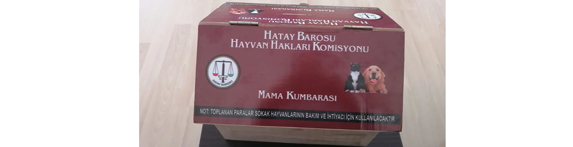 Hatay Barosu, sokak hayvanlarına