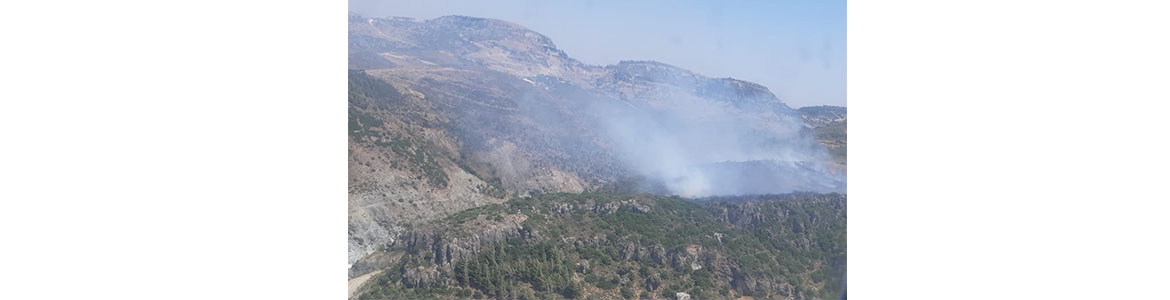 Makilik Alanda Yangın Antakya