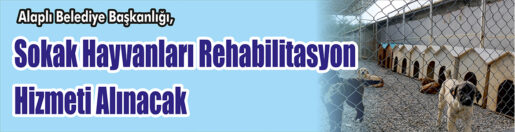 &nbsp;&nbsp;&nbsp;&nbsp;&nbsp; Alaplı Belediye Başkanlığı, Sokak hayvanları rehabilitasyon hizmeti alacak. &nbsp;&nbsp;&nbsp;&nbsp;&nbsp;