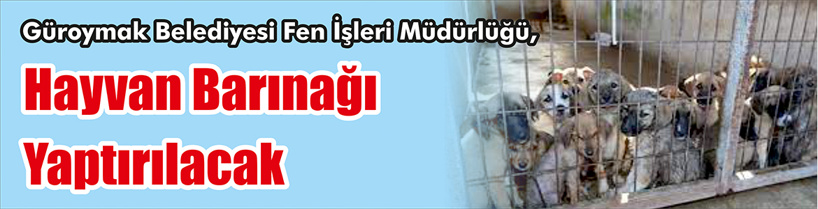 &nbsp;&nbsp;&nbsp;&nbsp;&nbsp; Güroymak Belediyesi Fen İşleri Müdürlüğü, hayvan barınağı yaptıracak. &nbsp;&nbsp;&nbsp;&nbsp;&nbsp;