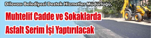 &nbsp;&nbsp;&nbsp;&nbsp;&nbsp; Dilovası Belediyesi Destek Hizmetler Müdürlüğü, Muhtelif cadde ve sokaklarda