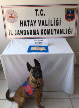 Eğitimli köpek TONAJ buldu