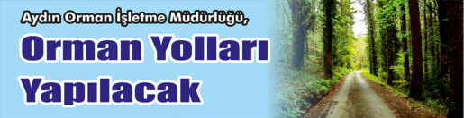 &nbsp;&nbsp;&nbsp;&nbsp;&nbsp; Aydın Orman İşletme Müdürlüğü, Orman yolları yapacak. &nbsp;&nbsp;&nbsp;&nbsp;&nbsp; Edinilen