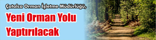 &nbsp;&nbsp;&nbsp;&nbsp;&nbsp; Çatalca Orman İşletme Müdürlüğü, Yeni orman yolu yaptıracak. &nbsp;&nbsp;&nbsp;&nbsp;&nbsp;