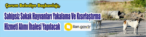 Ve Kısırlaştırma Hizmeti Alımı İhalesi Yapılacak &nbsp;&nbsp;&nbsp;&nbsp;&nbsp; Çorum Belediye Başkanlığı,