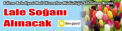 &nbsp;&nbsp;&nbsp;&nbsp;&nbsp; Edirne Belediyesi Mali Hizmetler Müdürlüğü Satınalma Birimi, Lale soğanı