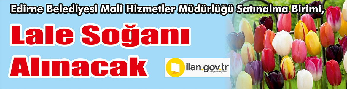 Lale Soğanı Alınacak Edirne Belediyesi Mali Hizmetler Müdürlüğü Satınalma Birimi, Lale soğanı