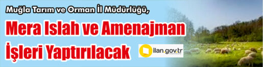 &nbsp;&nbsp;&nbsp;&nbsp;&nbsp; Muğla Tarım ve Orman İl Müdürlüğü, Mera ıslah ve