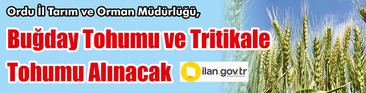 &nbsp;&nbsp;&nbsp;&nbsp;&nbsp; Ordu İl Tarım ve Orman Müdürlüğü, Buğday tohumu ve