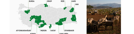 Hatay dahil 11 İl’de…