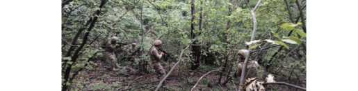Jandarma-MİT ortak operasyonu Payas kırsalında