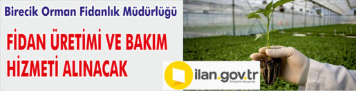 &nbsp;&nbsp;&nbsp;&nbsp;&nbsp; Birecik Orman Fidanlık Müdürlüğü, Fidan üretimi ve bakım hizmeti