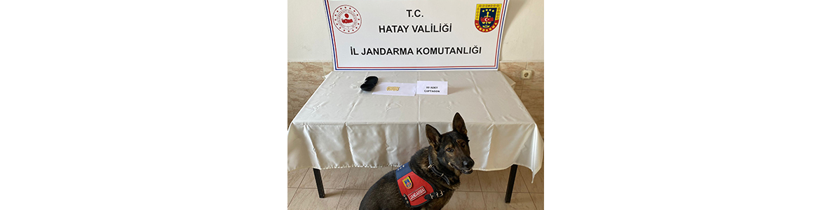 Eğitimli köpekler sayesinde, Reyhanlı’da