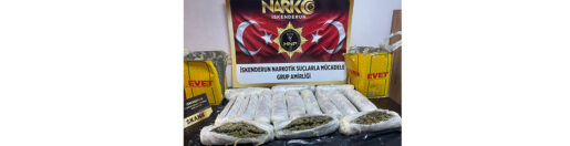 Yağ Tenekesinde Skunk