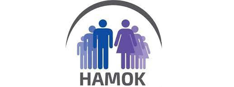 HAMOK:
