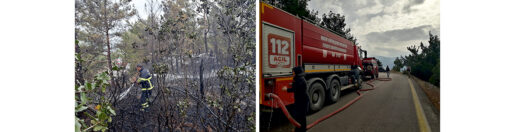 Arsuz’da Orman Yangını