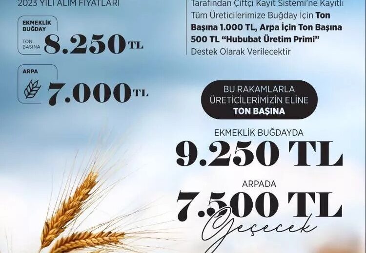Buğday – Arpa Taban Fiyatı Açıklandı