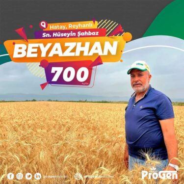 Şahbaz Amikte 700 KG Beyazhan Üretti