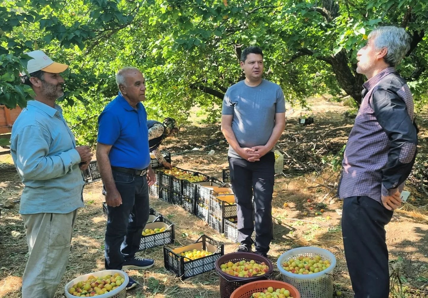 Arsuz kaymakamı Hasan Gökpınar,ilçenin