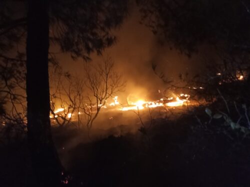 Hatay’da Çıkan Orman Yangını Söndürüldü