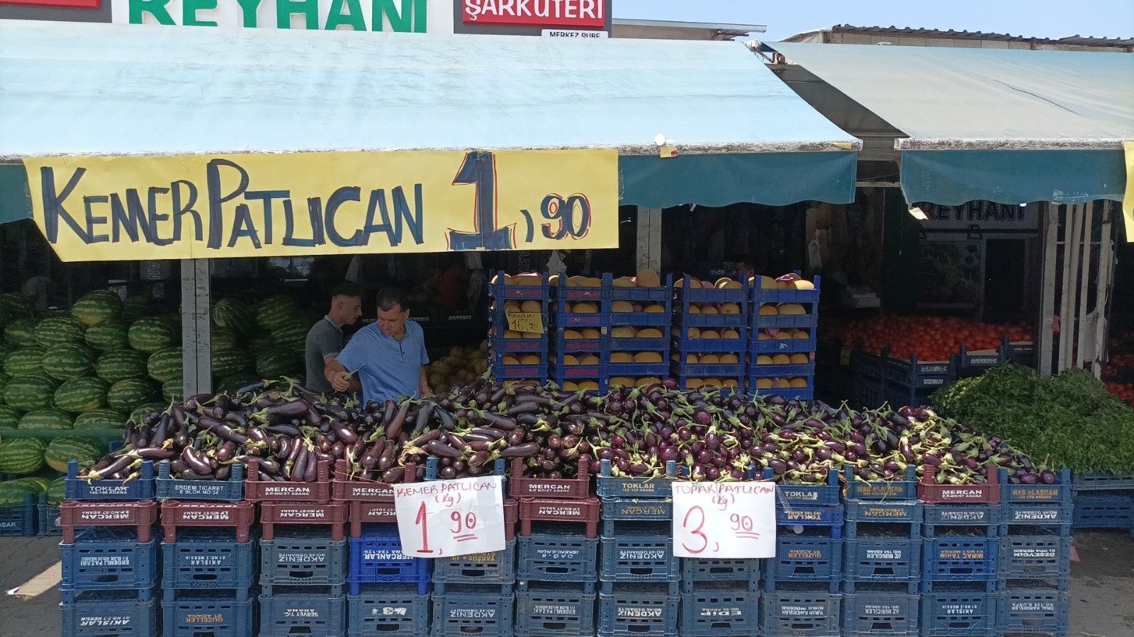 Depremzedeler, inanılmaz şekilde yüksek gerçekleşen Hayat pahalılığının da kıskacında. Tarlada