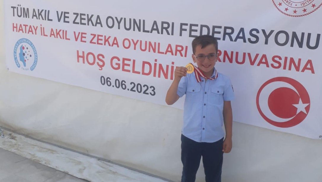 Akıl ve Zeka Oyunları