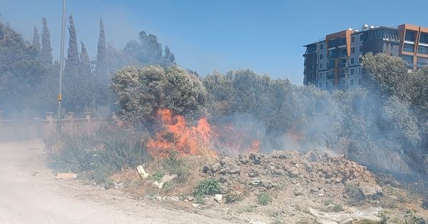 Antakya’ya bağlı Ekinci kırsalındaki