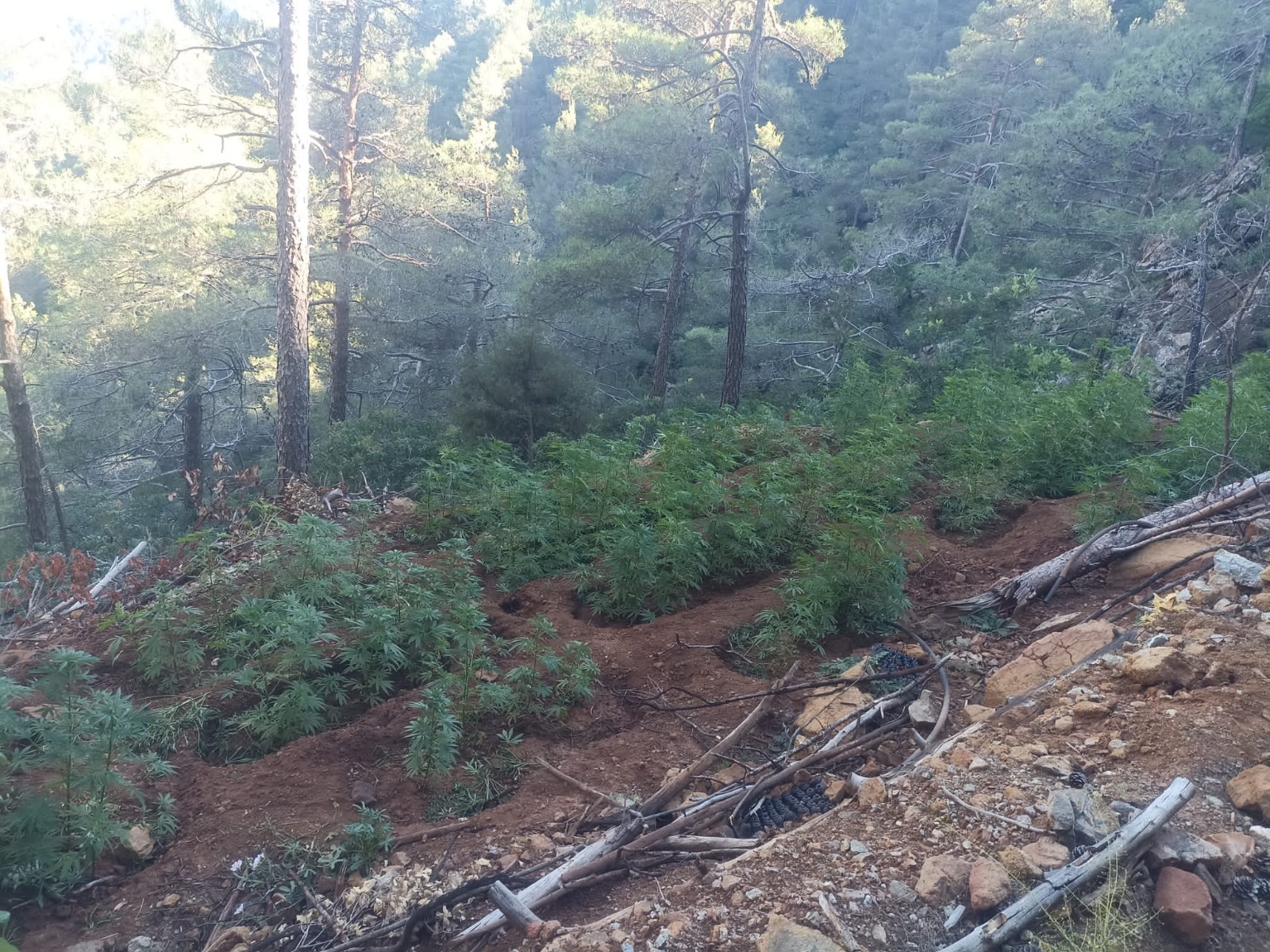 Hatay Emniyet Müdürlüğü görevlilerince