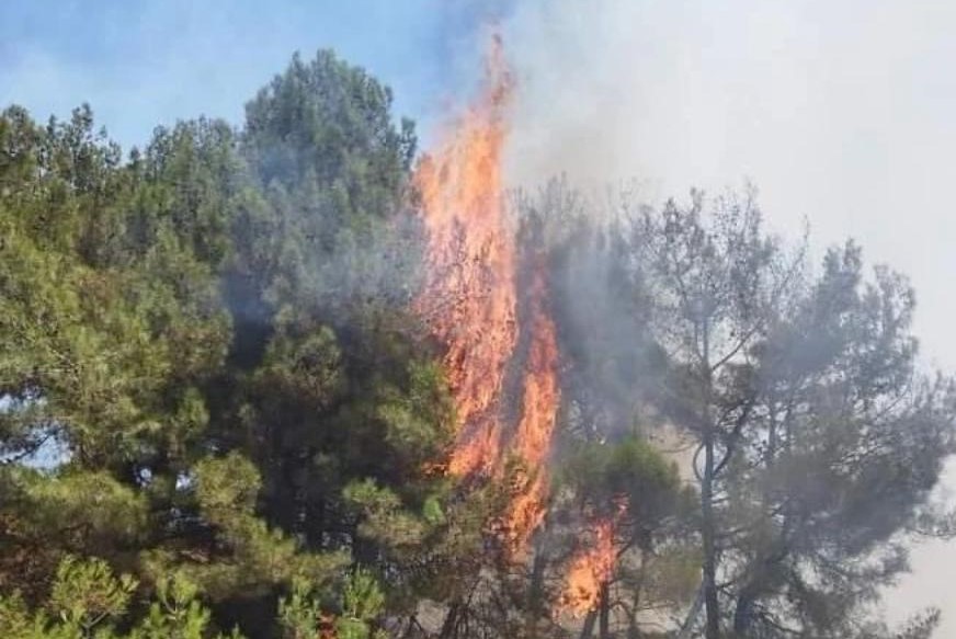 Bugün sabah saatlerinde Yayladağı