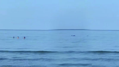 Dörtyol’da dün sabah denize girenler, YUNUS’larla yan yana yüzdü.. İlimiz