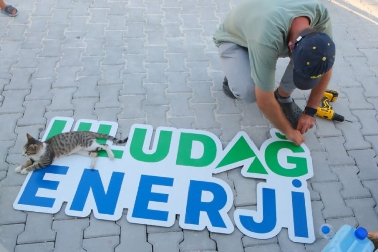 Uludağ Enerji, Hatay’da depremden etkilenen sokak hayvanlarını unutmadı