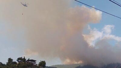 Son zamanlarda Hatay'da artan hava sıcaklıkları ve kontrolsüz uygulamalar yüzünden