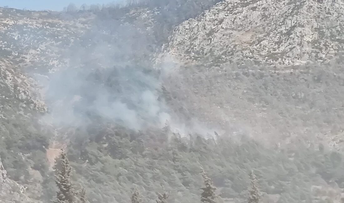 Antakya Habibi Neccar Dağı