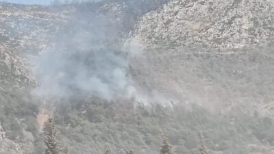 Antakya Habibi Neccar Dağı ‘nda bilinmeyen bir nedenle yangın çıktı.