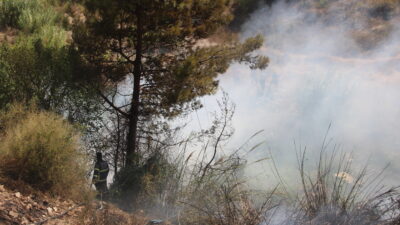 Hatay’ın merkez Antakya ilçesinde çıkan orman yangını, ekiplerin müdahalesiyle kontrol