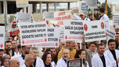 Türk Veteriner Hekimler Birliği ve 56 Veteriner Hekim Odası, enfeksiyon