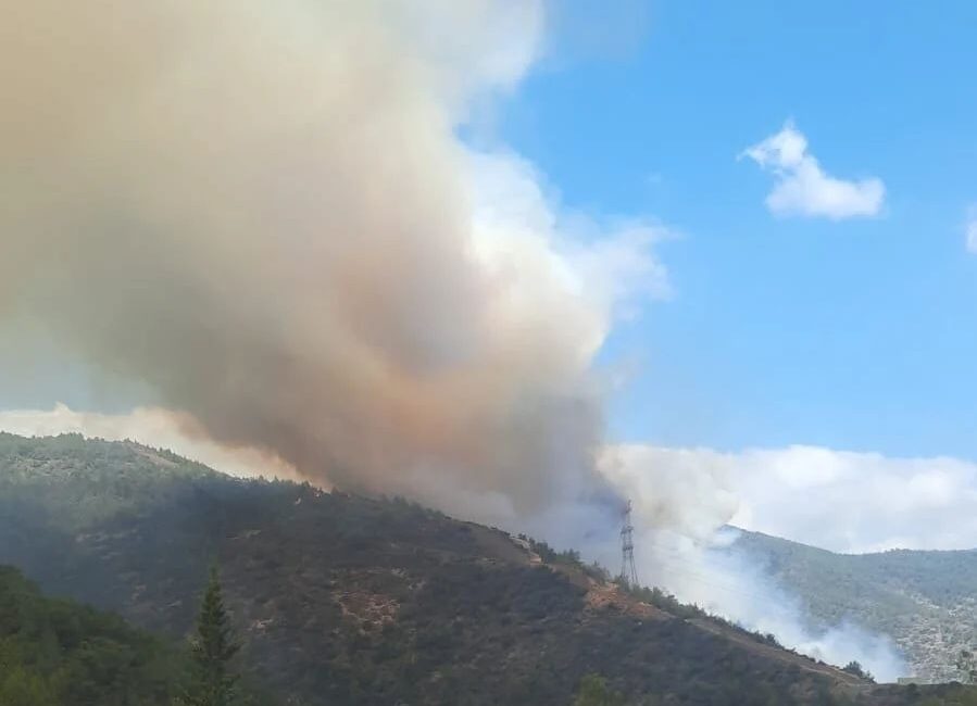 Dün öğle saatlerinde Antakya-Serinyol-Tahtaköprü Yıldırım mesire alanındaki orman yangınının 4