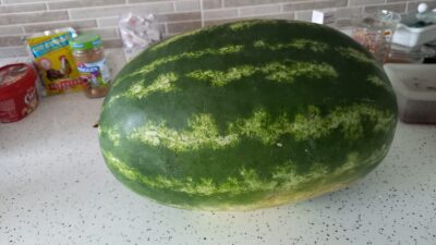 KARPUZ FİYATLARI ARTIYOR