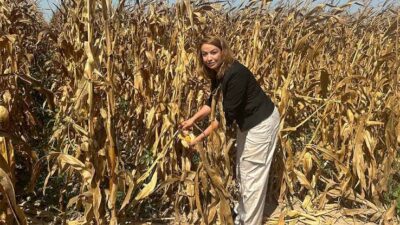 Hatay Milletvekili Nermin Yıldırım Kara, Toprak Mahsülleri Ofisi’nin mısır alım