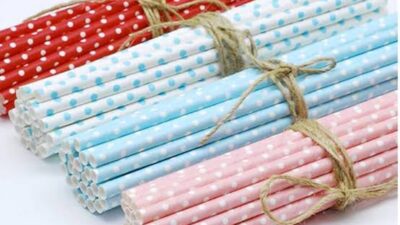 Bilim insanları son dönemde restoranlarda sık sık kullanılan ve "ekolojik"